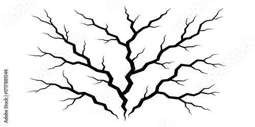 Old, cracked black tree roots form a natural, broken map-like pattern on a white background