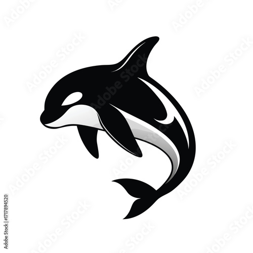 Dynamic Orca Killer Whale Jumping on White Background Keywords: orca, killer whale, marine