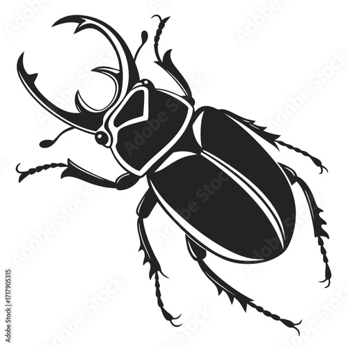 colorado potato beetle