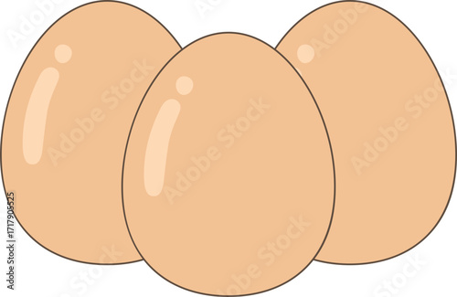 Whole Egg Illustration