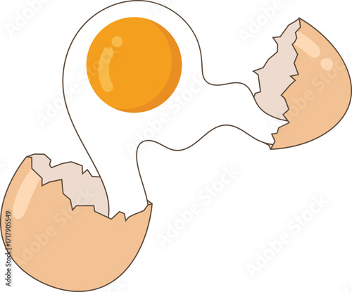 Cracked Egg with Yolk Illustration