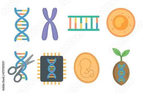 Genetic engineering concept: dna, chromosome, embryo, seedling, and biotechnology elements