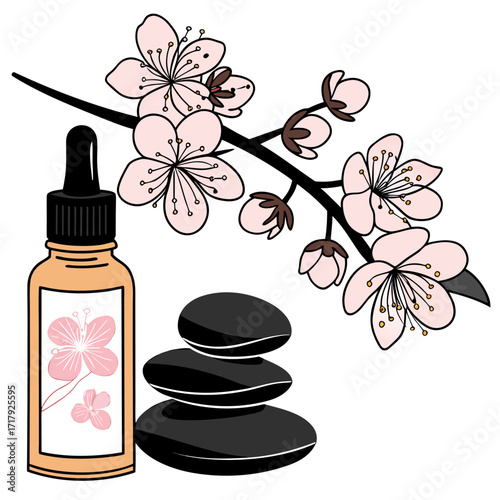 spa stones and orchid