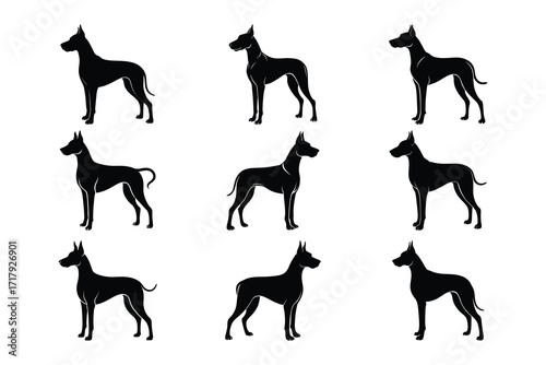 Great Dane Dog Silhouette Vector Set Pet Animal Breed Collection