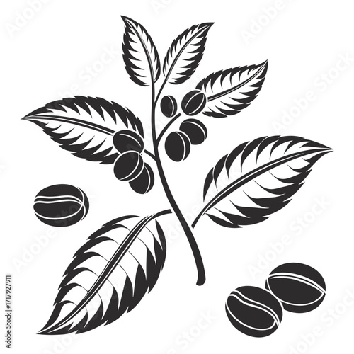 Coffee and Café Elegant Vector royalty-free Silhouette vector arts Collection design in white background .