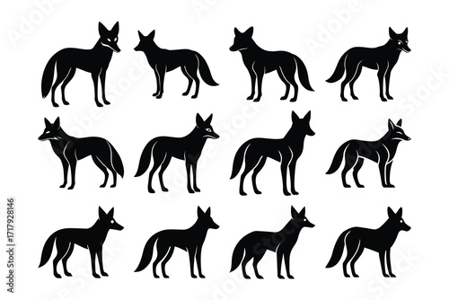 Coyote Silhouette Collection Set Black Vector Graphic Animal Illustration
