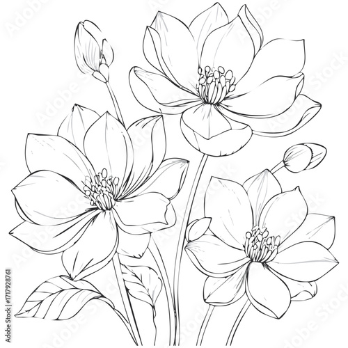 Lotus Flower Sketch Outline Illustration in Black and White – Hand Drawn Botanical Vector
