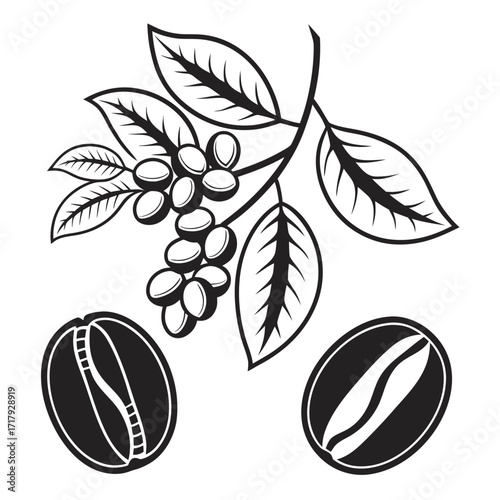 Coffee and Café Elegant Vector royalty-free Silhouette vector arts Collection design in white background .