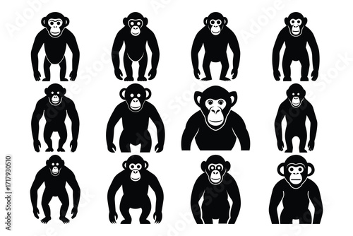 Black Silhouette Monkey Set Bundle Collection Group Of Primates Vector Illustration