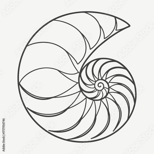 Nautilus shell cross section line art silhouette isolated on white background