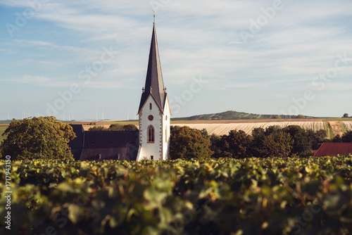 Gabsheim in Rheinhessen mit Petersberg, September 2025
