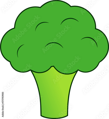 Broccoli Vector Illustration | Fresh Green Florets, Organic Vegetable, Healthy Food Design