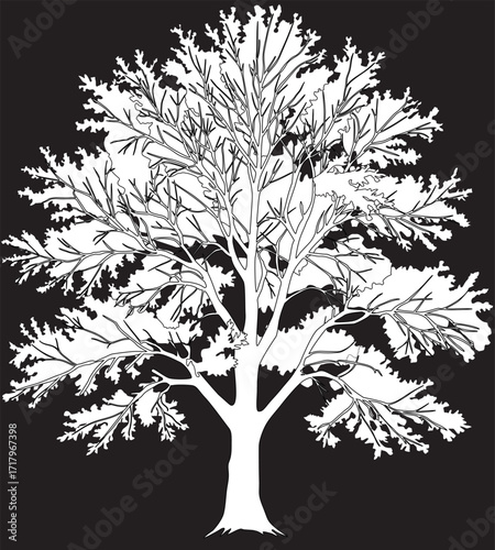 dense tree white silhouette isolated on black