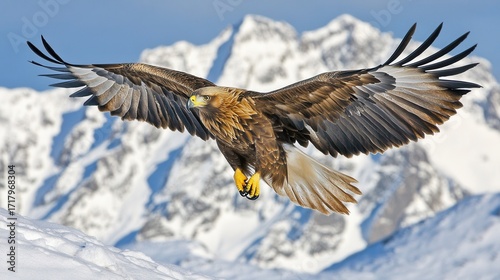A golden eagle glides effortlessly through a breathtaking snowy mountain range, its rich golden feathers contrasting vividly with the pristine white snow and rugged peaks.