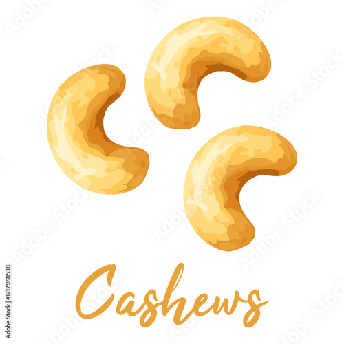 cashews in watercolor illustration style, isolated vector on white background