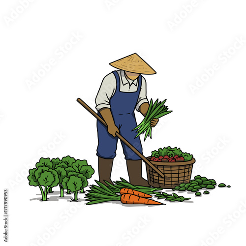 Farmer harvesting vegetables in field with basket and tools  