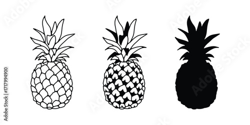 Pineapple Vector. Tropical Fruit Silhouette and Line Art, Pineapple Illustration. Exotic Fruit Outline and Clipart