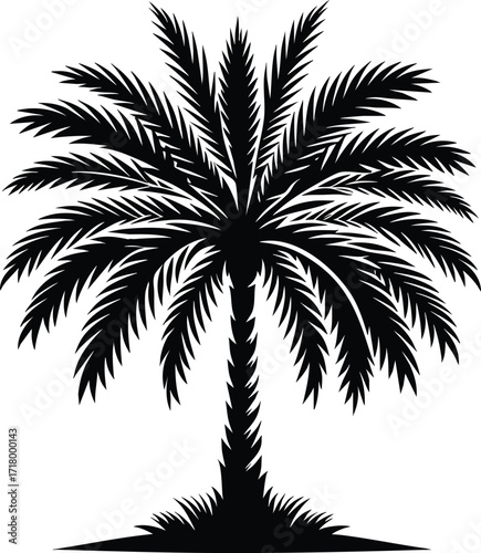 Date palm tree black silhouette vector illustration on an isolated white background