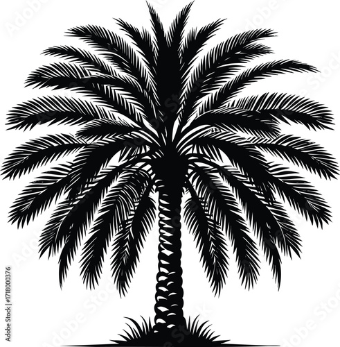Date palm tree black silhouette vector illustration on an isolated white background