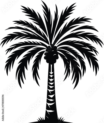 Date palm tree black silhouette vector illustration on an isolated white background