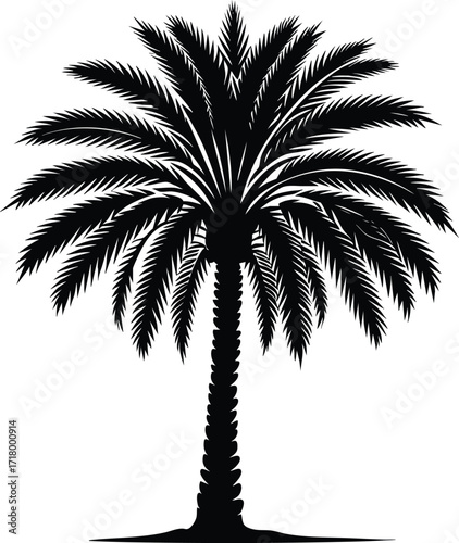 Date palm tree black silhouette vector illustration on an isolated white background