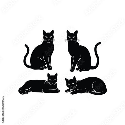 Black Cat Silhouette Set in Different Poses on White Background