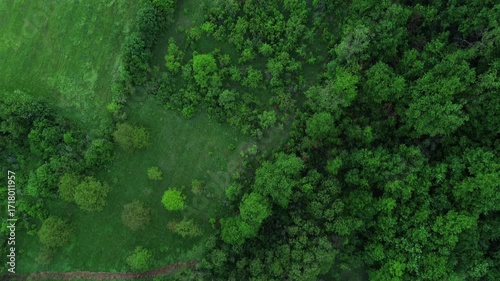 Wallpaper Mural Drone top view of lush green forest edge and meadow with trees and a small dirt path crossing the landscape in Serbia. Horizontal 4k footage Torontodigital.ca