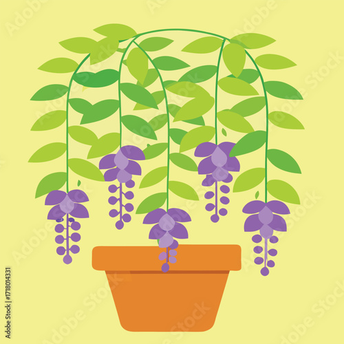 Beautiful wisteria flowers in a hanging pot illustration
