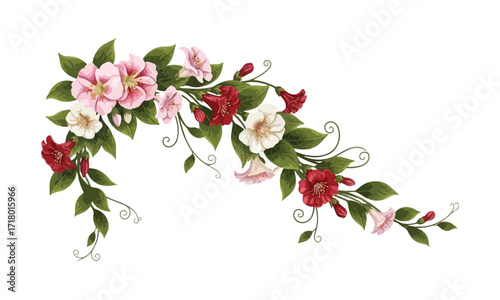 Vibrant creeper flower plant illustration with detailed petals  - Creeper flower plant vector art