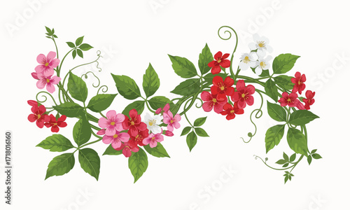Delicate creeper flower plant illustration with vibrant colors - Creeper flower plant vector art