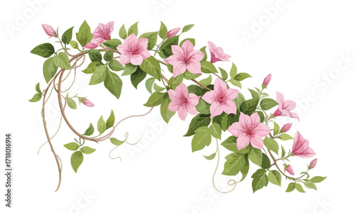 Vibrant creeper flower plant illustration with lush green leaves - Creeper flower plant vector art