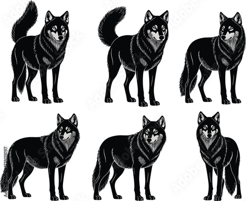 Wolf silhouettes, black vector wild canine illustration, standing wolves artwork, forest predator clipart, wilderness animal graphic design, outdoor adventure nature emblem set.