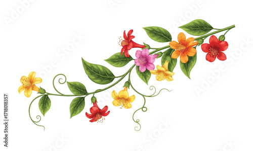 Vibrant creeper flower plant illustration with lush green leaves - Creeper flower plant vector art
