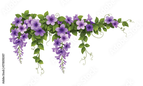Vibrant creeper flower plant illustration with colorful petals - Creeper flower plant vector art