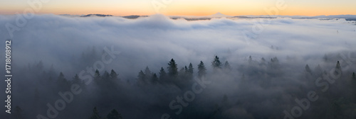 Dawn illuminates fog drifting through the forests found throughout the Willamette Valley in Oregon. The entire Pacific Northwest region is known for its vast forests and moist, temperate weather.
