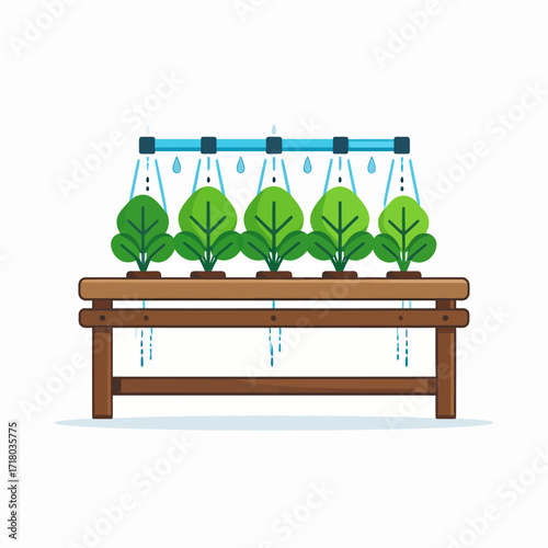 Hydroponic garden system with plants growing in a neat row on a wooden bench with water sprinklers
