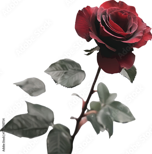 Single Dark Red Rose With Falling Petals And Leaves flower crimson