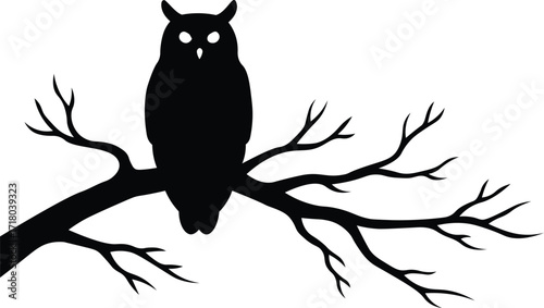 nocturnal animal vector perched owl outline