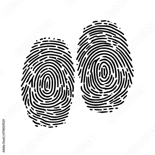 Two black fingerprint impressions displayed on a white background showing unique ridge patterns and details