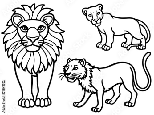 Lion Family Outline Illustration Featuring an Adult Male Lion a Lioness and a Young Lion Cub on white background