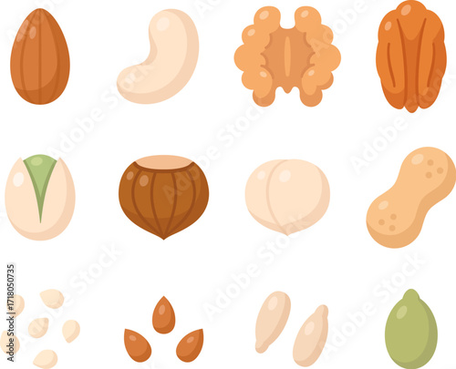 Nuts and seeds icon set. Almond, walnut, pistachio, hazelnut, macadamia, pecan, cashew. Simple cartoon icons, isolated vector clip art illustration.