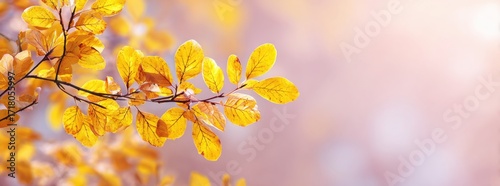 Autumn leaves changing color on a tree branch