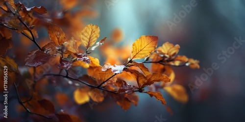Autumn leaves on branch showing seasonal change