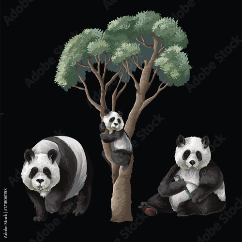 Detailed Isolated Panda Trio Surrounded by Tropical Jungle Foliage Plants Vector Illustration