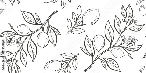 Seamless lemon branch pattern outline with leaves, fruits, and blossoms. Elegant botanical illustration for coloring pages, wallpapers, fabrics, and natural-themed designs. Perfect for vintage and mod