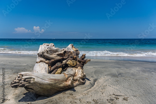 Beautiful driftwood on a secluded white sand Bali beach with turquoise water