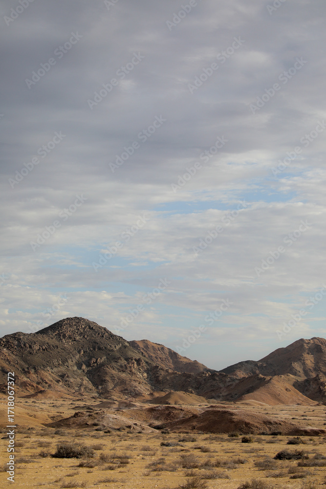 Fototapeta premium Light and textures playing with in the arid Richtersveld desert landscape
