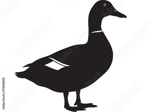 Duck silhouette illustration Black and white bird profile Simple minimalist design Vector graphic Isolated on white background