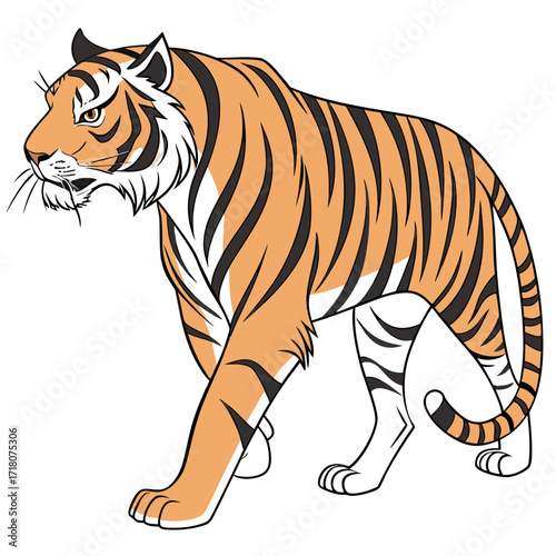 Majestic Bengal tiger walking gracefully wild cat nature animal wildlife