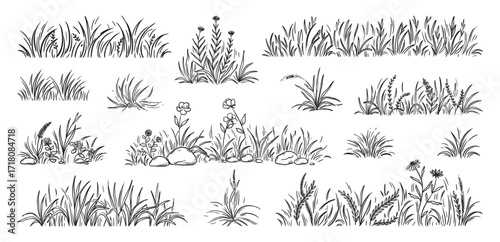 Grass doodle. Hand drawn meadow, blade bush garden texture or small lawn tuft. Black sketch style drawing, white flower herbal field. Decorative botanical border. Vector landscape isolated set